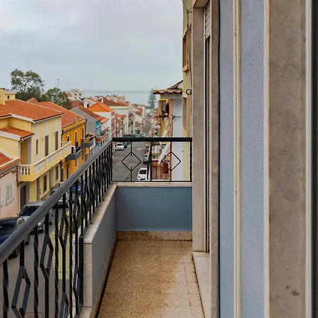 Patios Marias - Rosas *