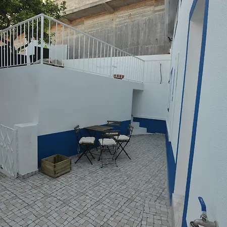 Patios Marias - Rosas *